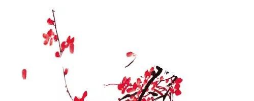 美萊塢醫(yī)美秀色可餐——面部年輕化提升的是輪廓，降低的是年齡