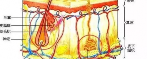 夏天來啦：激光脫毛疼不疼？要做幾次？