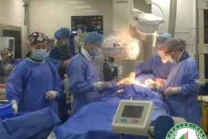 重慶西南醫(yī)院整形科醫(yī)生有哪些？實(shí)力醫(yī)生介紹