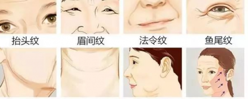 為什么有人看上去永遠像18歲？