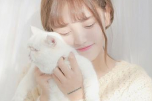 韓國EU頜面輪廓整形外科整形價(jià)格表一覽及醫(yī)院介紹