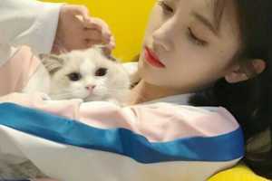 鄭州中韓順美眼鼻整形美容整形價格表一覽及醫(yī)院介紹