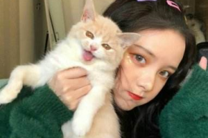 韓國365MC肥胖診療醫(yī)院整形價格表(價目表)一覽及醫(yī)院介紹