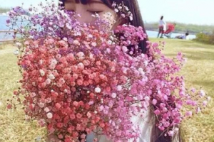 維納斯整形（武漢）醫(yī)院整形價(jià)格表(價(jià)目表)一覽及醫(yī)院介紹