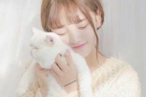 上海薇琳醫(yī)療美容醫(yī)院整形價格表(價目表)2020全新發(fā)布