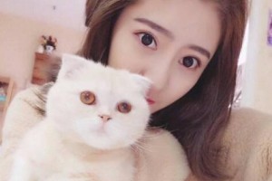 天津康佳美醫(yī)院整形美容中心整形價(jià)格表(價(jià)目表)2020全新發(fā)布