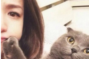 深圳市南山人民醫(yī)院整形美容科整形價格表(價目表)2020全新發(fā)布