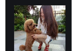 昆明鼎立醫(yī)療美容整形醫(yī)院整形價格表(價目表)2020全新發(fā)布