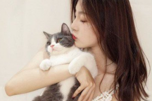 2020鄭州張洪波醫(yī)療美容診所整形價(jià)格表(價(jià)目表)全新發(fā)布