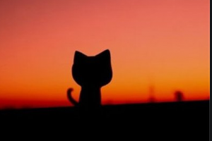 2020成都臻瑞雅緹麗膚醫(yī)療美容診所整形價格表(價目表)全新發(fā)布