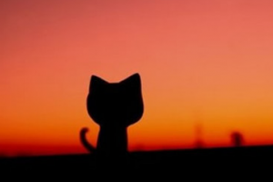 2020成都海濤醫(yī)學(xué)美容診所整形價(jià)格表(價(jià)目表)全新發(fā)布