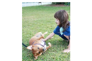 2020東莞主山愛康門診部醫(yī)學(xué)整形美容中心整形價(jià)格表(價(jià)目表)全新發(fā)布