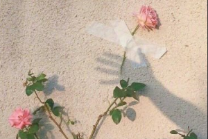 2020徐州仁濟(jì)皮膚病專科醫(yī)院整形價格表(價目表)全新發(fā)布