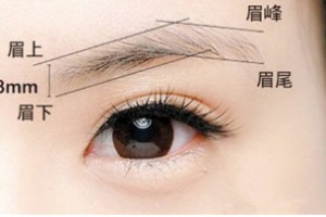 半長期紋眉和傳統(tǒng)文紋眉有什么區(qū)別