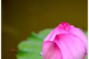 男人為何喜歡豐臀的女人？