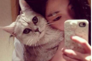 長(zhǎng)春中妍醫(yī)療美容醫(yī)院趙勝友整形價(jià)格表附熱瑪吉案例展示