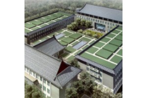 北京隆鼻醫(yī)生排行榜價格表  附隆鼻手術(shù)案例