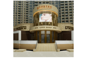 杭州整形醫(yī)院是公立的嗎     隆胸手術(shù)真的可以變挺拔