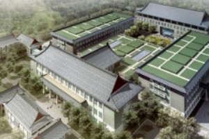 北京八大處周栩隆鼻果太好了附價格表